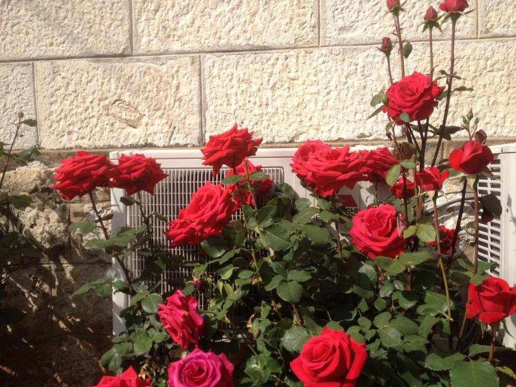 Apartment Flora Dubrovnik Luaran gambar